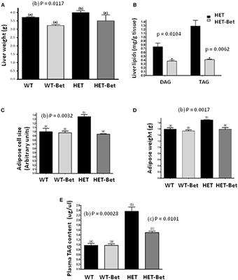 Betaine and Choline Improve Lipid Homeostasis in Obesity by Participation in Mitochondrial Oxidative Demethylation